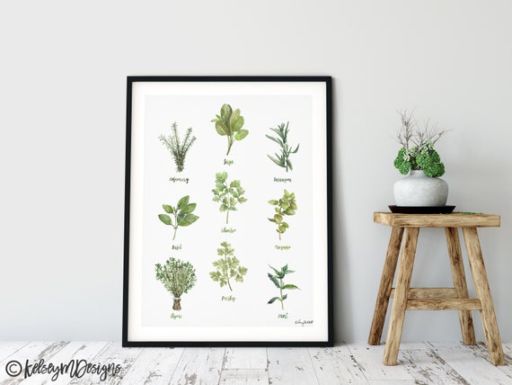 Herbs Set of 4 Watercolor Painting, Kitchen Prints, Sage Thyme