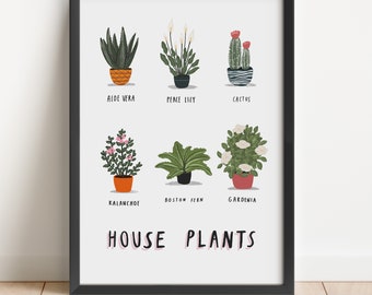 House plants illustrated print - plant print house plants botany botanical print plant illustration botany illustration home decor