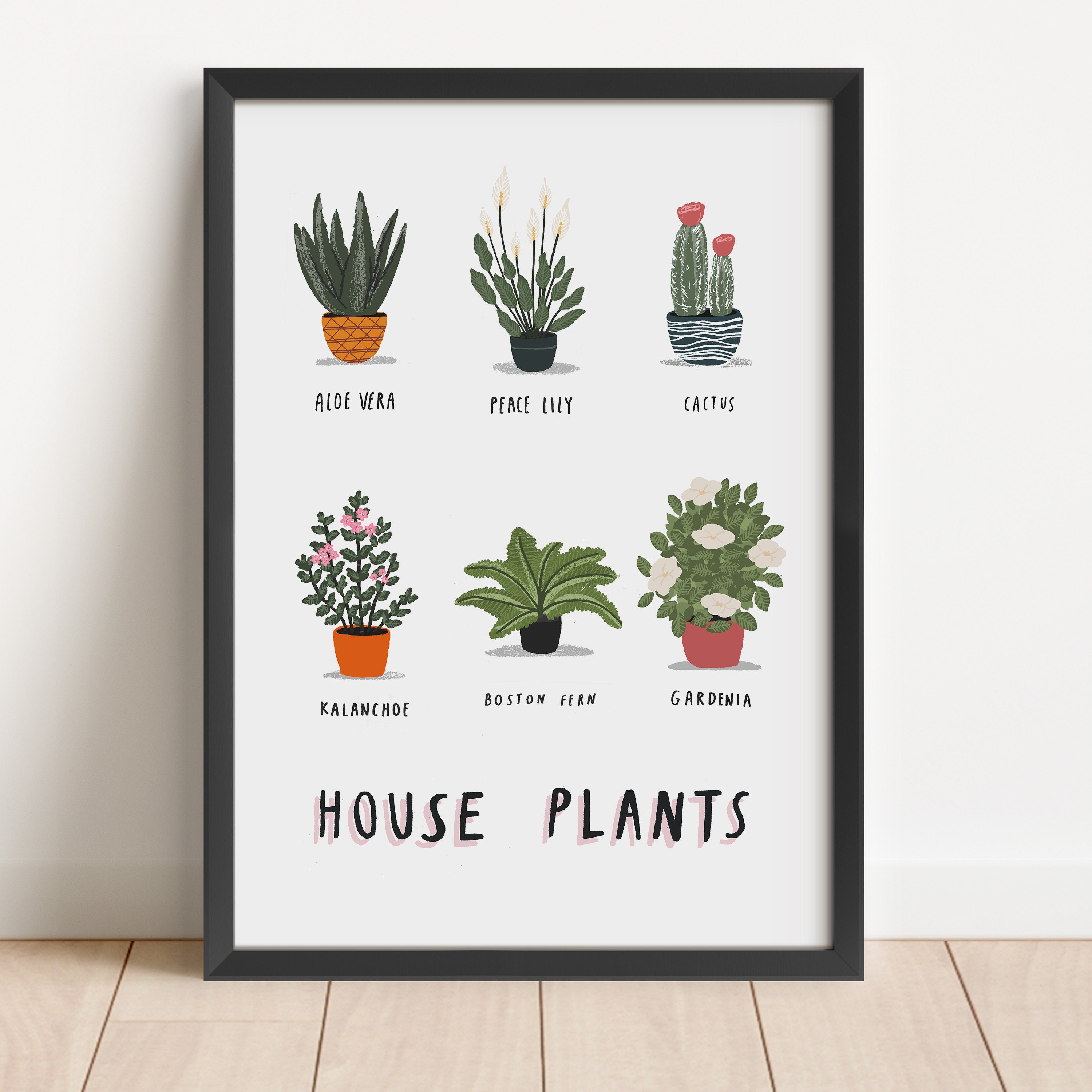 House Plants Illustrated Print Plant Print House Plants Etsy