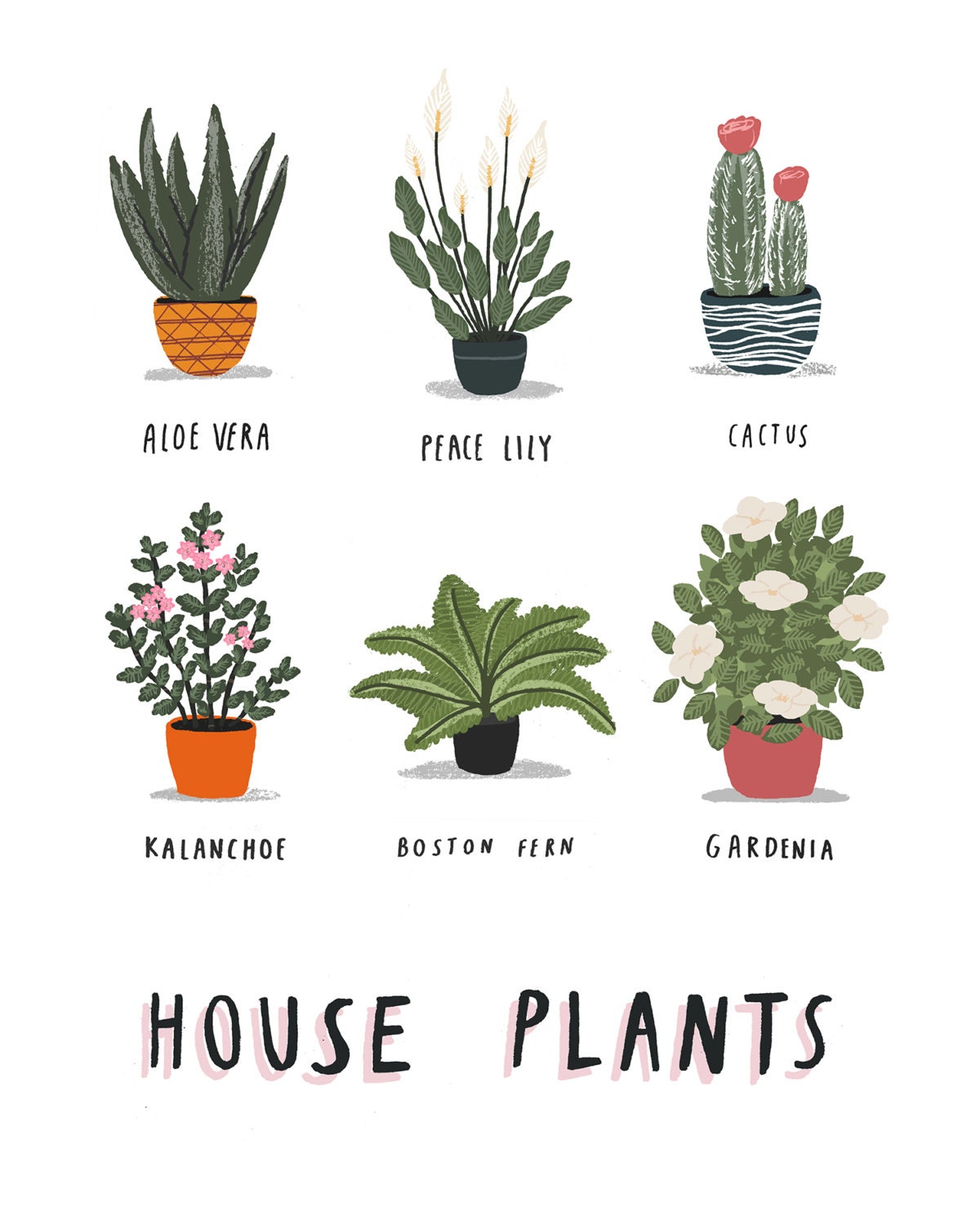 House Plants Illustrated Print Plant Print House Plants Etsy