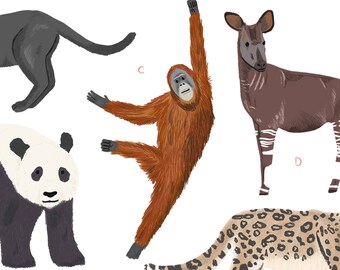 Illustrated Mammals Print - Natural History Nursery Art - Etsy