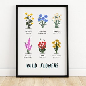 Wild Flowers illustrated botanical print plant print botany botanical print botanical wild flowers floral floristry flowers print image 1