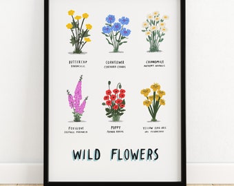 Wild Flowers illustrated botanical print - plant print botany botanical print botanical wild flowers floral floristry flowers print