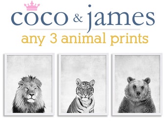 Tigers and Bears Themed Note Cards Lions Handmade and Personalized