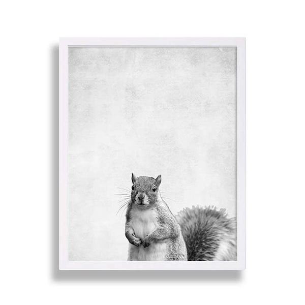 Nursery Art Prints Baby Squirrel Print Animal Portrait Prints Extra Large Nursery Decor Cute Baby Animal Prints Grey Nursery Prints Newborn