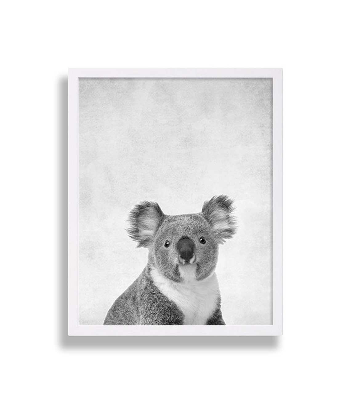 Australia Animal Prints Two Print Set Kangaroo Print Koala Etsy