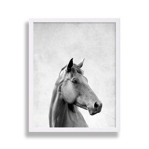May include: Black and white photograph of a horse's head and neck. The horse is looking to the right of the frame. The background is a textured, light gray.