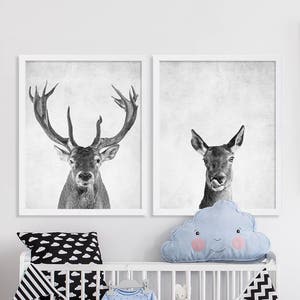 May include: Two black and white framed prints of deer heads. The print on the left shows a deer with large antlers looking directly at the camera. The print on the right shows a deer with its tongue sticking out.