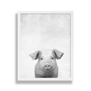 May include: A black and white photograph of a piglet looking directly at the camera. The piglet is in a white frame against a light gray background.