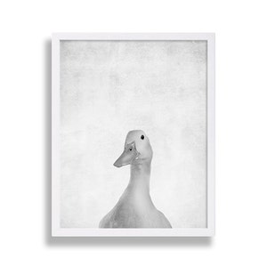 Puede incluir: Una fotograf&iacute;a en blanco y negro de un pato con un fondo blanco. El pato est&aacute; mirando directamente a la c&aacute;mara.