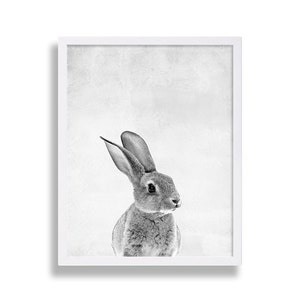 Puede incluir: Una fotograf&iacute;a en blanco y negro de un conejo con las orejas levantadas, mirando hacia la derecha. El conejo est&aacute; enfocado, mientras que el fondo est&aacute; desenfocado y texturizado.