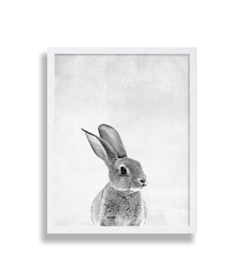 Puede incluir: Una fotograf&iacute;a en blanco y negro de un conejo con las orejas levantadas, mirando hacia la derecha. El conejo est&aacute; enfocado, mientras que el fondo est&aacute; desenfocado y texturizado.
