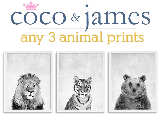 Lions Tigers and Bears Prints Animal Prints Boy Nursery Room - Etsy