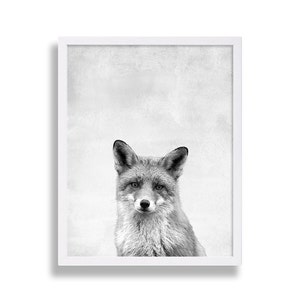 Woodland Nursery Art Baby Fox Print Animal Decor Grey Art Kids Room Decor Black and White Cute Art Modern Nursery Animal Print Extra Large