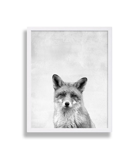 Bosque Vivero Arte Bebe Zorro Imprime Gris Animales Decor Arte Etsy Bosque Vivero Arte Bebe Zorro Imprime Gris Animales Decor Arte Etsy