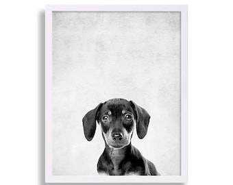 Puppy Dachshund Print Baby Animal Nursery Prints Puppy Prints Dog Art Dog Portraits Gray Nursery Decor Animal Nursery Art Nursery Ideas