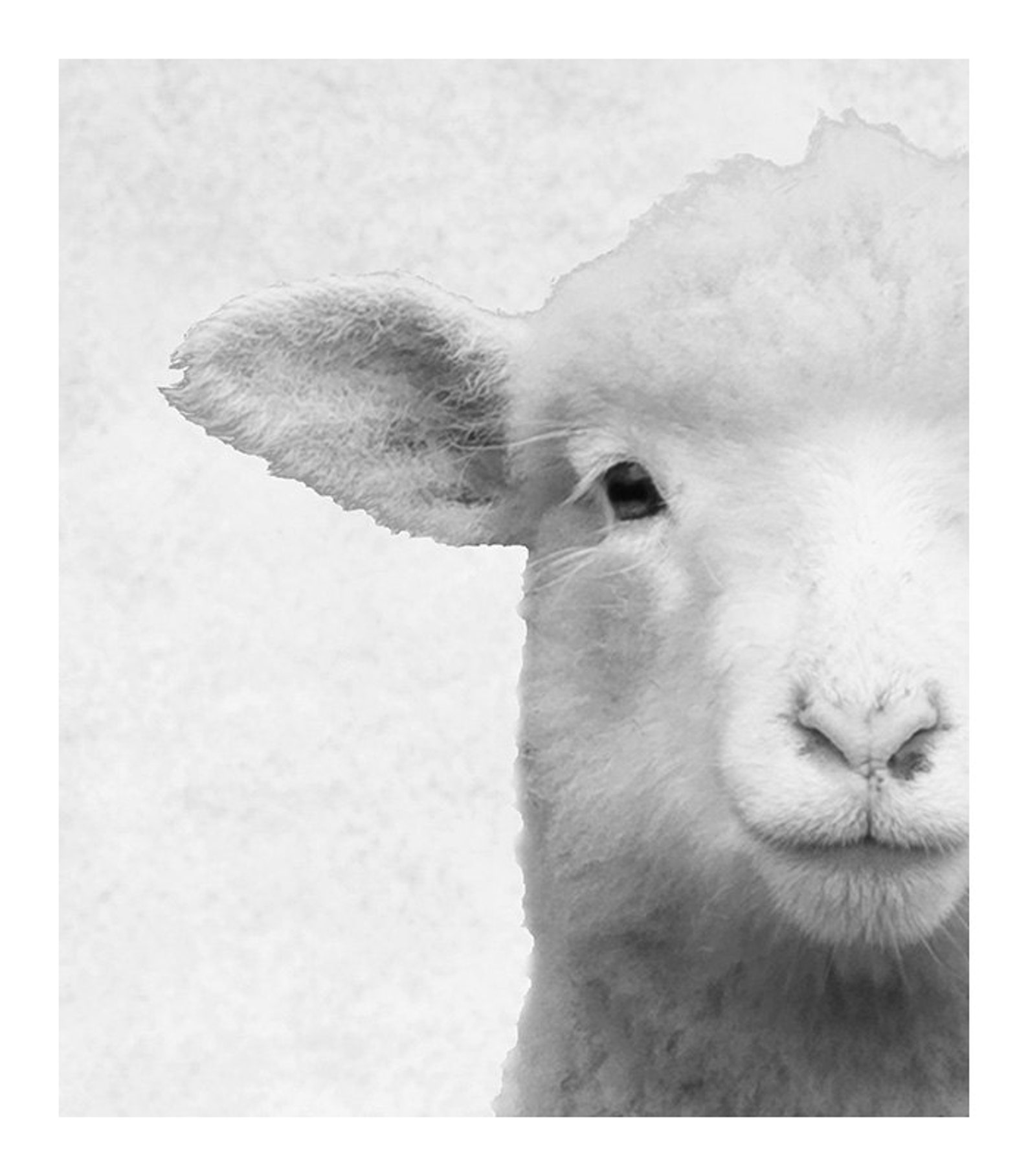 Animal Nursery Prints Girls Room Art Baby Animal Prints Pink Etsy