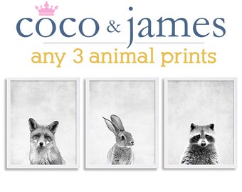 Set of Three Woodland Animal Art Nursery Prints Black and White Art Bunny Print Fox Raccoon Kids Room Decor Nursery Wall Art Grey Prints
