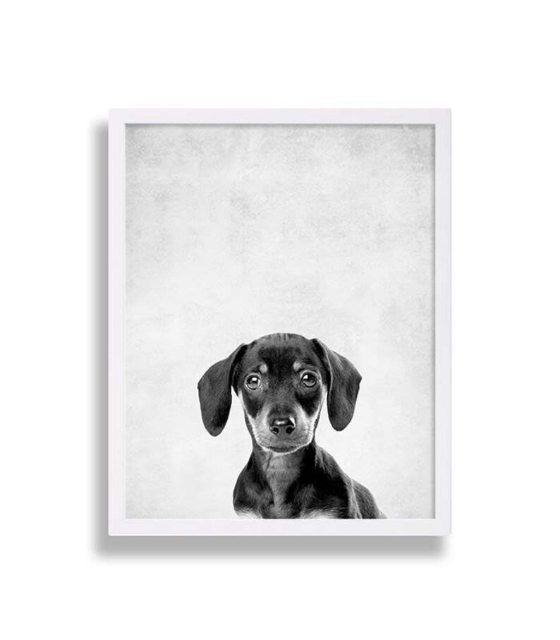 Three Puppy Dog Prints Animal Nursery Art Grey Nursery Decor Modern Nursery Prints Home Decor Pet Prints Animal Prints Dachshund Bulldog image 2