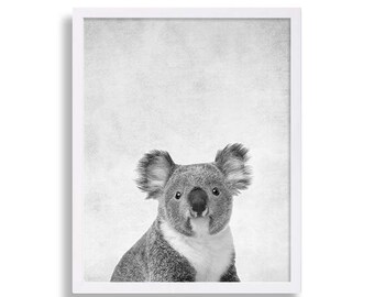 May include: A black and white photograph of a koala bear sitting and looking directly at the camera. The koala is in focus, and the background is a blurry, light gray.