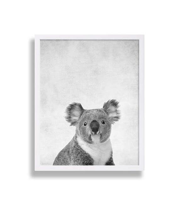 Baby Koala Print Baby Animal Nursery Art Australia Animals Cute Animal Prints Grey Nursery Decor Newborn Baby Gift Ideas Nursery Room