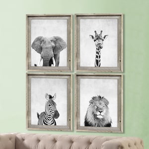 Safari Animal Prints Animal Nursery Prints Modern Nursery Decor Animal Portraits Elephant Zebra Lion Giraffe Living Room Art Animal Photos