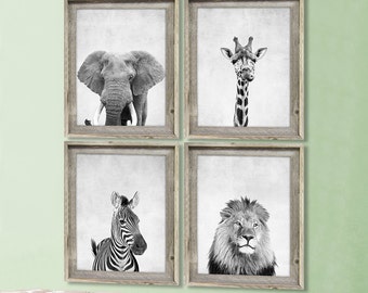 Safari Animal Prints Animal Nursery Prints Modern Nursery Decor Animal Portraits Elephant Zebra Lion Giraffe Living Room Art Animal Photos