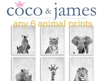 Six Animal Prints African Safari Prints Safari Animal Nursery Art Posters Interior Design Game Room Decor Zebra Tiger Rhino Giraffe Lion