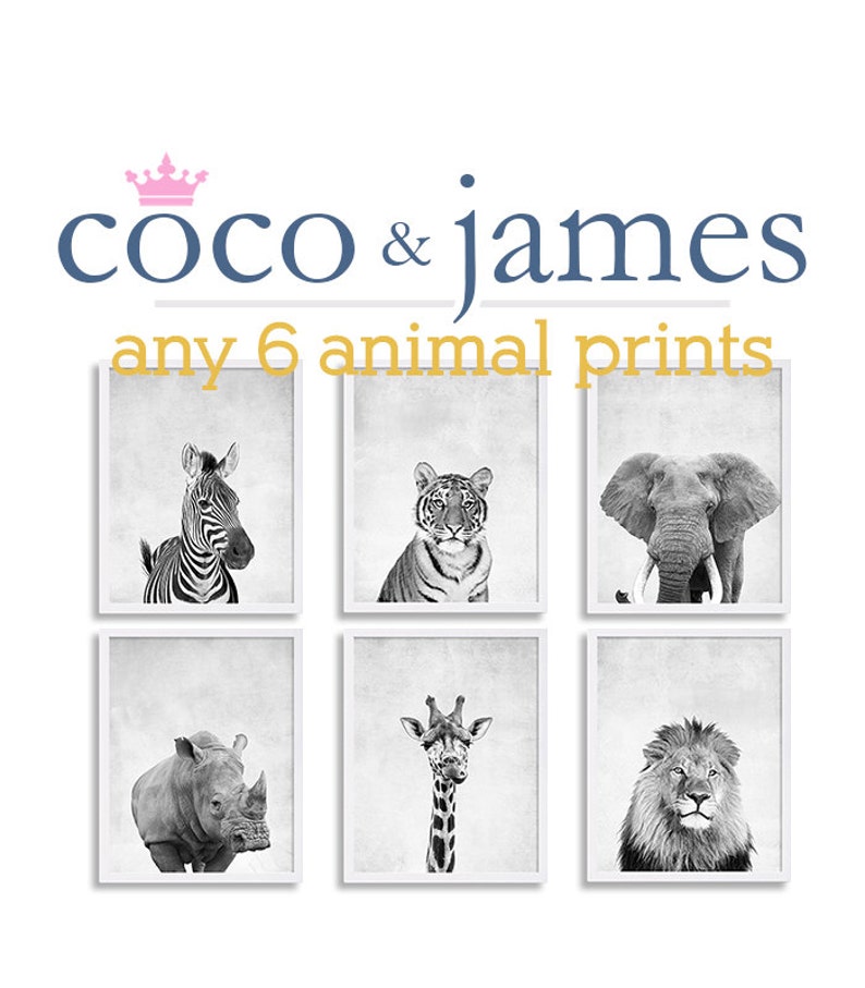 Six Animal Prints African Safari Prints Safari Animal Nursery Art ...
