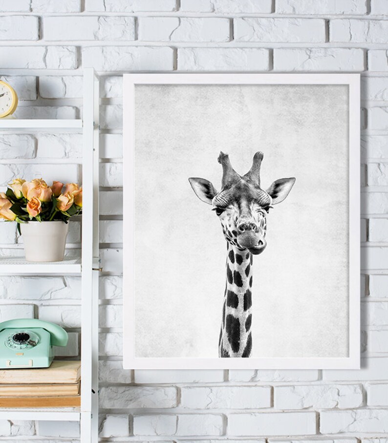 Nursery Room Art Giraffe Print Grey Nursery Decor Minimalist Art Print Black and White Wall Decor African Safari Animal Photography Print image 1