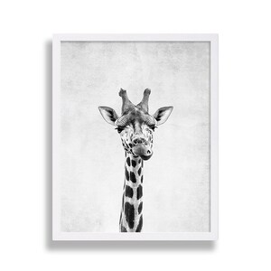 Nursery Room Art Giraffe Print Grey Nursery Decor Minimalist Art Print Black and White Wall Decor African Safari Animal Photography Print image 2