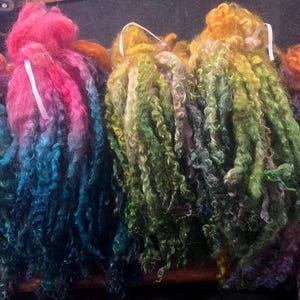 Rainbow Teeswater lange lokken - bundels van 1 oz