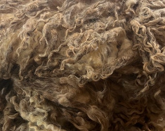 Raw White Cotswold Ewe - 8lbs 10 oz