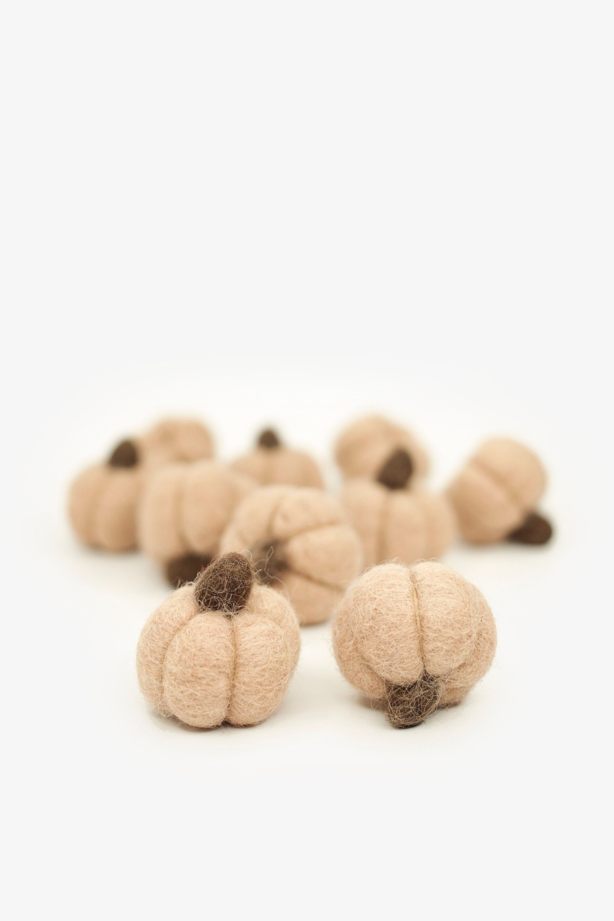 Nude Peach With Acorn Stem Felt Pumpkins Mini Pumpkins Wool Etsy 日本