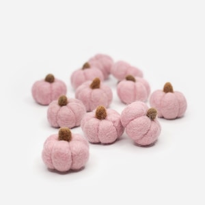 Lrg Blush Pink with Acorn Brown Stem Felt Pumpkins -Small Pumpkins -Wool Pumpkins -Halloween Decor -Pumpkin Garland -Fall Pumpkins