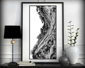 Black and White Prints - Black and White Art -Black and White Wall art - Modern Abstract Art - Black and White Home Decor by L Dawning Scott