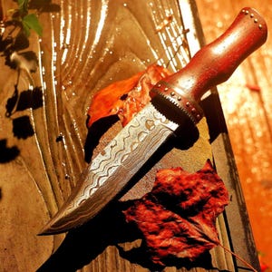 Damascus steel Clip point blade Friar Tuck Bowie Knife with wood handles with Brass pins and Leather Sheath