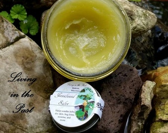 Jewelweed Salve-Nature&#39;s Itch Relief-Soothing Salve-Moisturizing Salve-Self Care