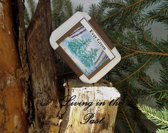 Ever Green Tallow Soap: Natural Exfoliating Pine Needle Bar