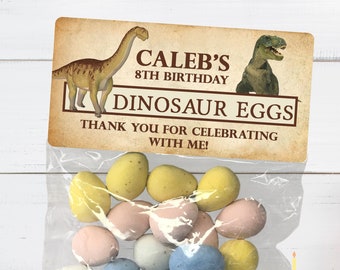 Sacs de cadeaux d'anniversaire ufs de dinosaure : autocollants personnalisés et sacs transparents