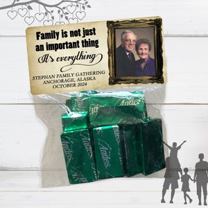 Family Reunion Stickers and Bags, Family Reunion Favors, Family Gatherings, Reunion Treat Bags, Reunion Party Favor Stickers and Bags