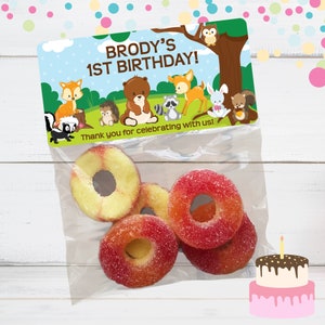 Woodland Animals Treat Bags, Woodland Party Bags, Animal Stickers, Woodland Animal Favors, Woodland Baby Shower, Woodland Birthday, Animals