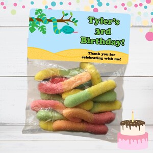 May include: A clear plastic bag filled with colorful gummy worms. A blue and green birthday party favor tag with the text "Tyler's 3rd Birthday! Thank you for celebrating with me!" is attached to the bag.