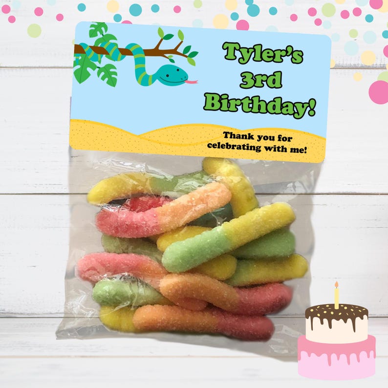 May include: A clear plastic bag filled with colorful gummy worms. A blue and green birthday party favor tag with the text "Tyler's 3rd Birthday! Thank you for celebrating with me!" is attached to the bag.
