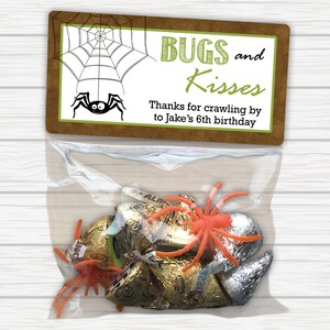 Bugs and Kisses Birthday Treat Bags: Spider Party Favors