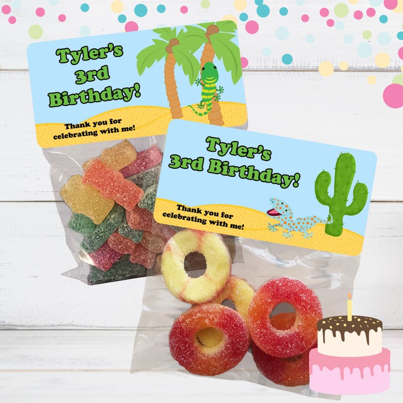 May include: A set of two favor bags with colorful candy and a birthday party favor tag. The tag is blue with a green cactus and a lizard. The text on the tag reads "Tyler's 3rd Birthday! Thank you for celebrating with me!"