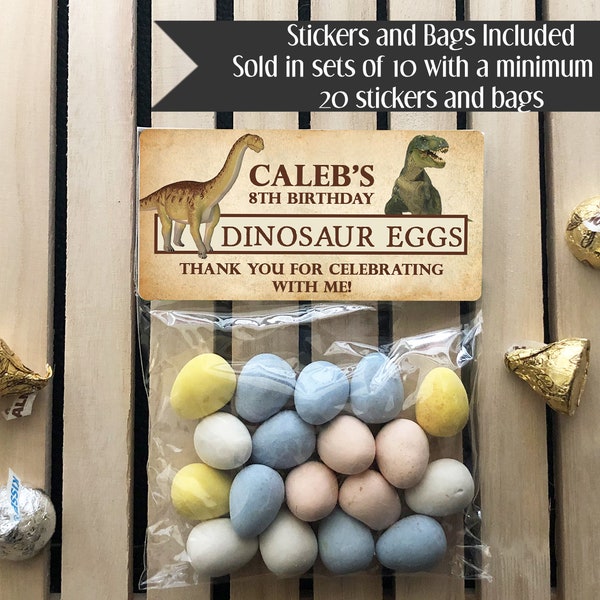 Dinosaur Eggs Birthday Treat Bags Etsy