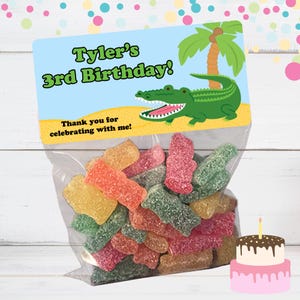 May include: A green alligator with an open mouth on a blue and yellow background with the text "Tyler's 3rd Birthday!" and "Thank you for celebrating with me!"  A clear plastic bag filled with colorful gummy candies.