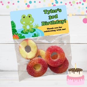 Reptile Birthday Party Favors: Stickers & Clear Bags Frog Only
