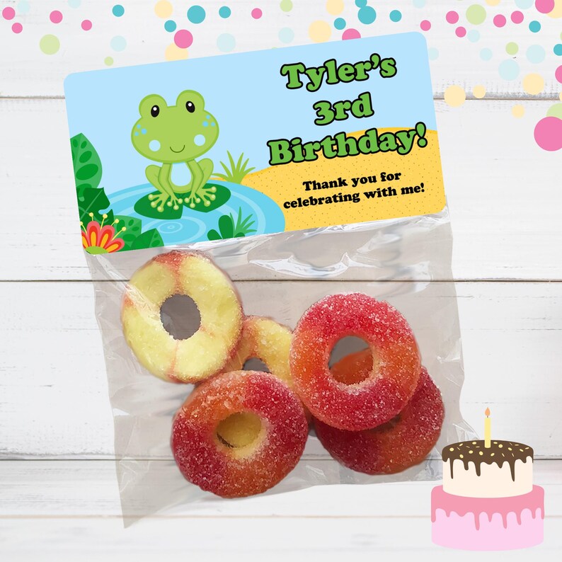 Reptile Birthday Party Favors: Stickers & Clear Bags Frog Only